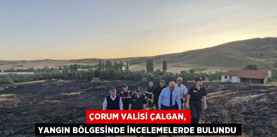 ÇORUM VALİSİ ÇALGAN, YANGIN BÖLGESİNDE İNCELEMELERDE BULUNDU