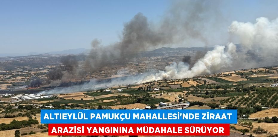Altıeylül Pamukçu Mahallesi’nde Ziraat Arazisi Yangınına Müdahale Sürüyor