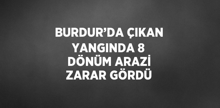 BURDUR’DA ÇIKAN YANGINDA 8 DÖNÜM ARAZİ ZARAR GÖRDÜ