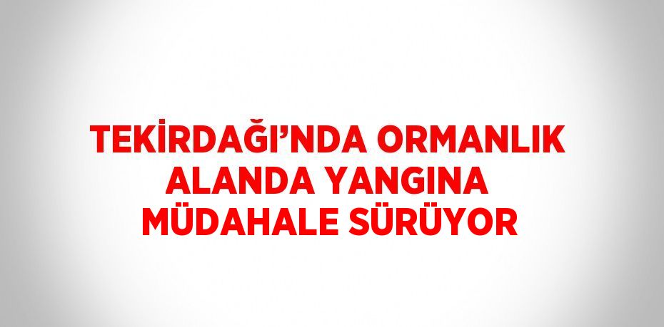 TEKİRDAĞI’NDA ORMANLIK ALANDA YANGINA MÜDAHALE SÜRÜYOR