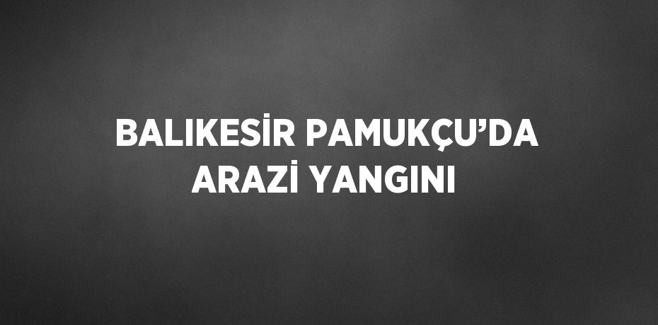 BALIKESİR PAMUKÇU’DA ARAZİ YANGINI
