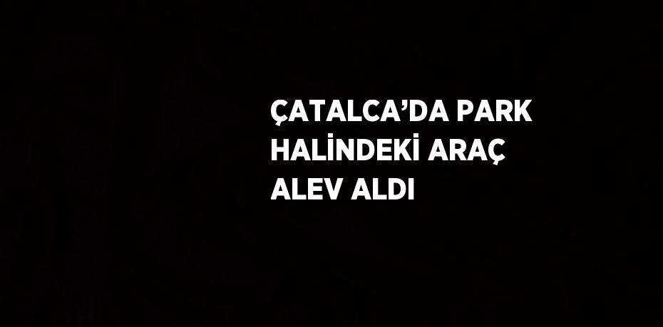 ÇATALCA’DA PARK HALİNDEKİ ARAÇ ALEV ALDI