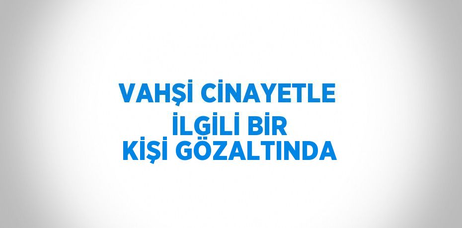 VAHŞİ CİNAYETLE İLGİLİ BİR KİŞİ GÖZALTINDA