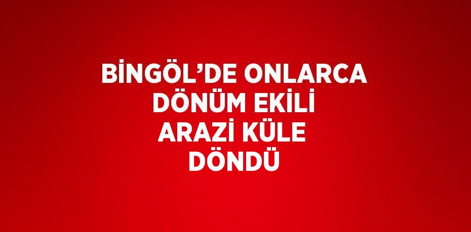 BİNGÖL’DE ONLARCA DÖNÜM EKİLİ ARAZİ KÜLE DÖNDÜ