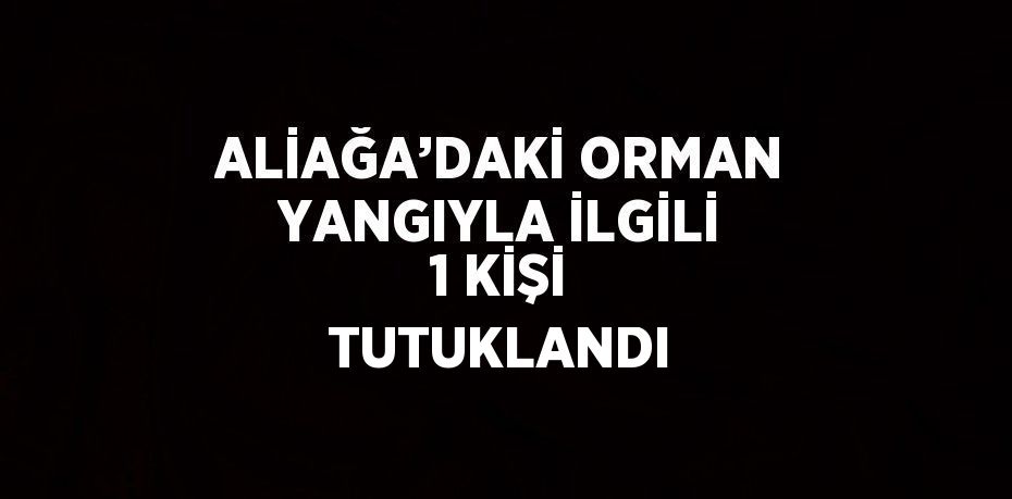 ALİAĞA’DAKİ ORMAN YANGIYLA İLGİLİ 1 KİŞİ TUTUKLANDI