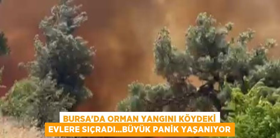 BURSA’DA ORMAN YANGINI KÖYDEKİ EVLERE SIÇRADI...BÜYÜK PANİK YAŞANIYOR