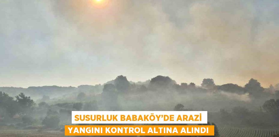 SUSURLUK BABAKÖY’DE ARAZİ YANGINI KONTROL ALTINA ALINDI