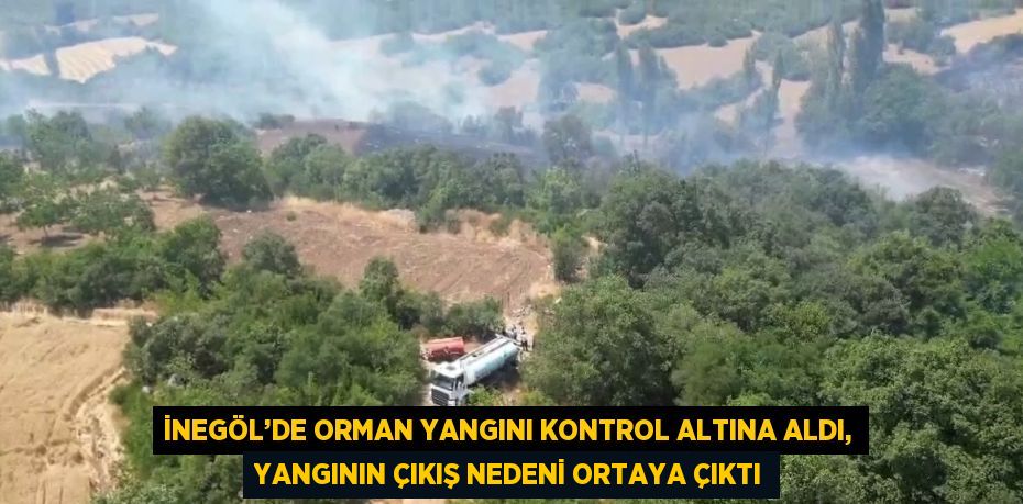 İNEGÖL’DE ORMAN YANGINI KONTROL ALTINA ALDI, YANGININ ÇIKIŞ NEDENİ ORTAYA ÇIKTI