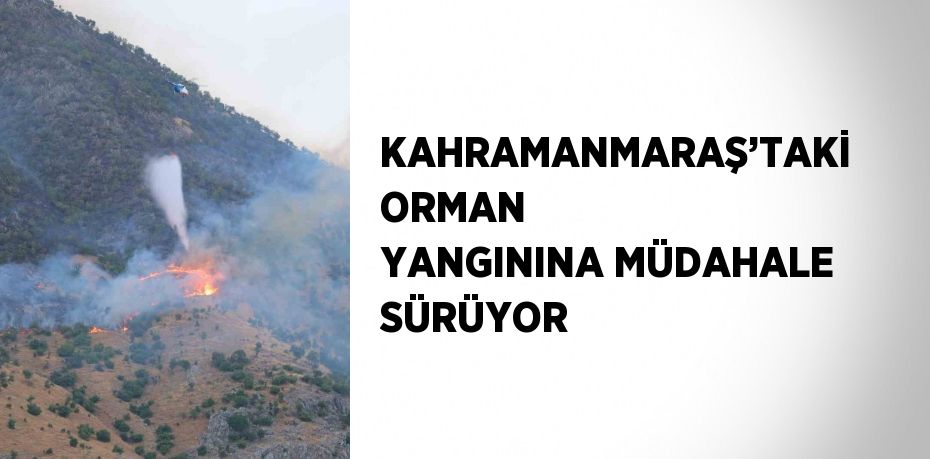KAHRAMANMARAŞ’TAKİ ORMAN YANGININA MÜDAHALE SÜRÜYOR