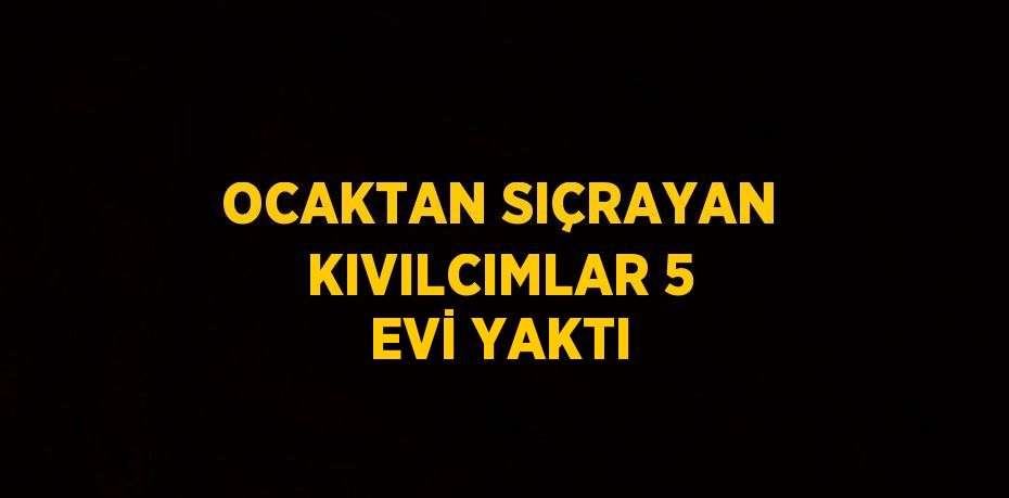 OCAKTAN SIÇRAYAN KIVILCIMLAR 5 EVİ YAKTI