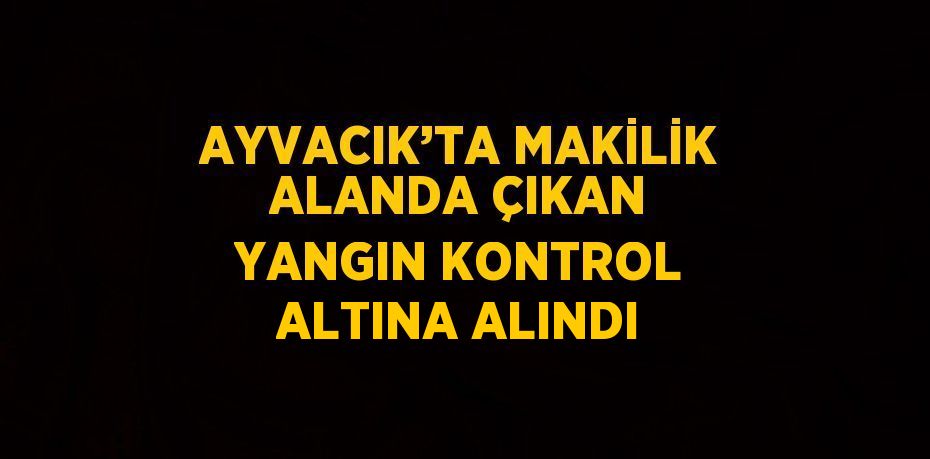 AYVACIK’TA MAKİLİK ALANDA ÇIKAN YANGIN KONTROL ALTINA ALINDI