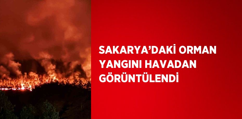 SAKARYA’DAKİ ORMAN YANGINI HAVADAN GÖRÜNTÜLENDİ