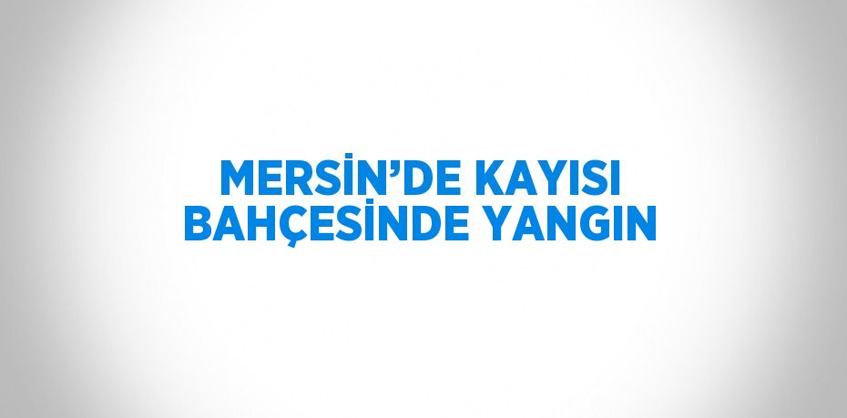 MERSİN’DE KAYISI BAHÇESİNDE YANGIN