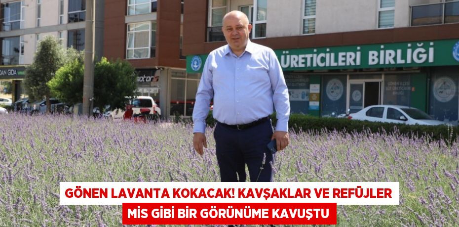 Gönen Lavanta Kokacak! Kavşaklar ve Refüjler Mis Gibi Bir Görünüme Kavuştu