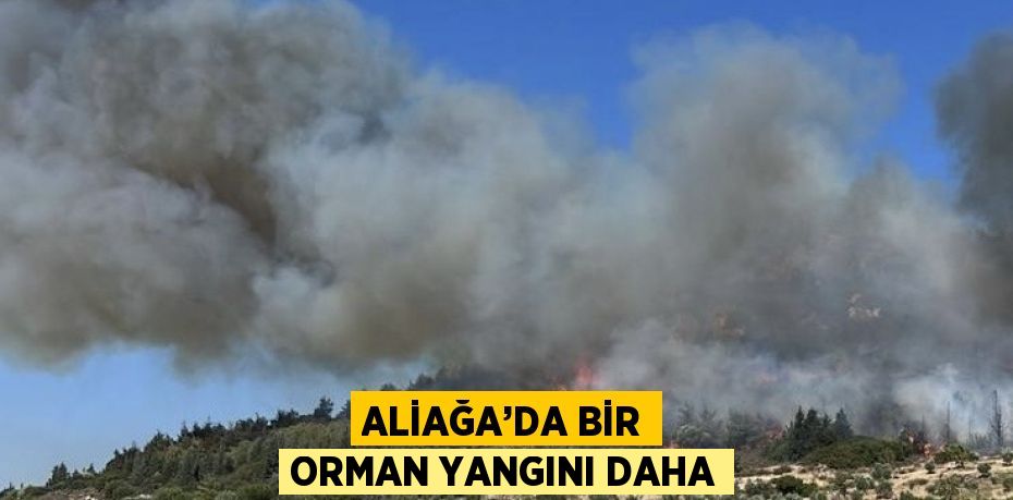 ALİAĞA’DA BİR ORMAN YANGINI DAHA