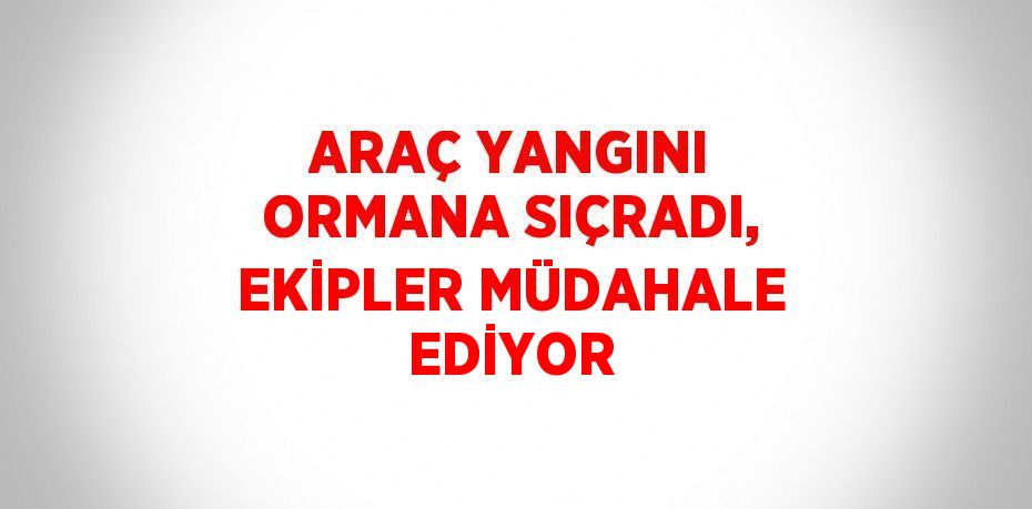 ARAÇ YANGINI ORMANA SIÇRADI, EKİPLER MÜDAHALE EDİYOR