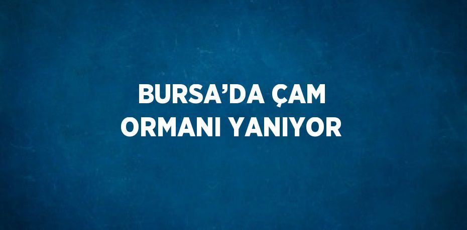 BURSA’DA ÇAM ORMANI YANIYOR