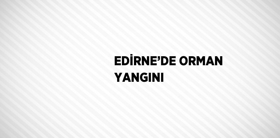 EDİRNE’DE ORMAN YANGINI