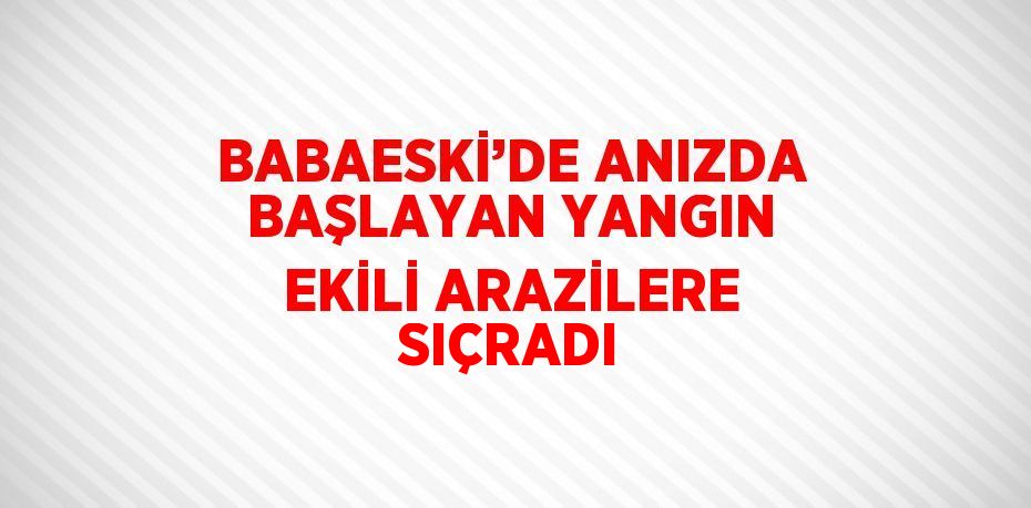 BABAESKİ’DE ANIZDA BAŞLAYAN YANGIN EKİLİ ARAZİLERE SIÇRADI