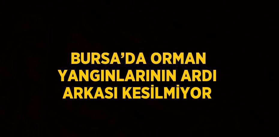 BURSA’DA ORMAN YANGINLARININ ARDI ARKASI KESİLMİYOR