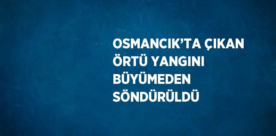 OSMANCIK’TA ÇIKAN ÖRTÜ YANGINI BÜYÜMEDEN SÖNDÜRÜLDÜ
