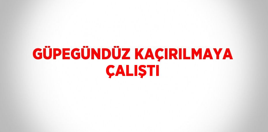 GÜPEGÜNDÜZ KAÇIRILMAYA ÇALIŞTI