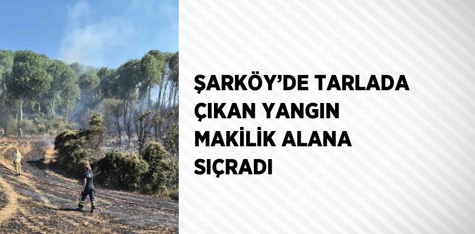 ŞARKÖY’DE TARLADA ÇIKAN YANGIN MAKİLİK ALANA SIÇRADI