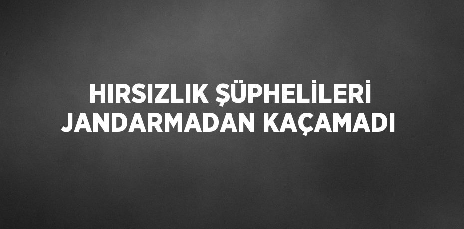 HIRSIZLIK ŞÜPHELİLERİ JANDARMADAN KAÇAMADI
