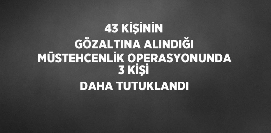 43 KİŞİNİN GÖZALTINA ALINDIĞI MÜSTEHCENLİK OPERASYONUNDA 3 KİŞİ DAHA TUTUKLANDI