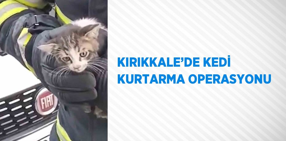 KIRIKKALE’DE KEDİ KURTARMA OPERASYONU
