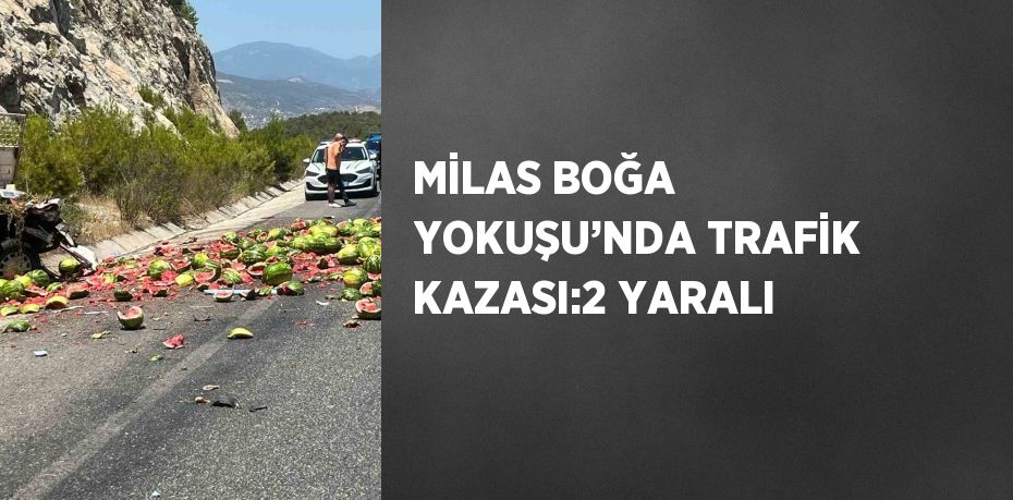 MİLAS BOĞA YOKUŞU’NDA TRAFİK KAZASI:2 YARALI