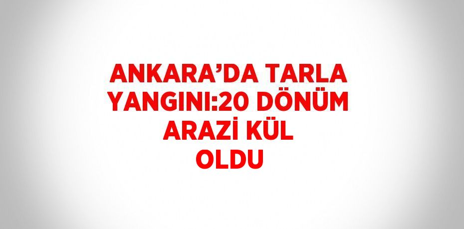 ANKARA’DA TARLA YANGINI:20 DÖNÜM ARAZİ KÜL OLDU