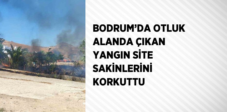 BODRUM’DA OTLUK ALANDA ÇIKAN YANGIN SİTE SAKİNLERİNİ KORKUTTU