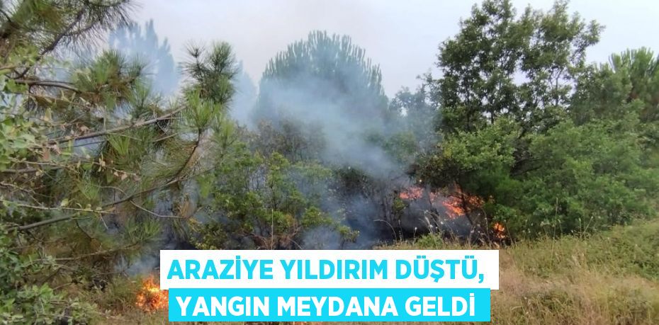 ARAZİYE YILDIRIM DÜŞTÜ, YANGIN MEYDANA GELDİ