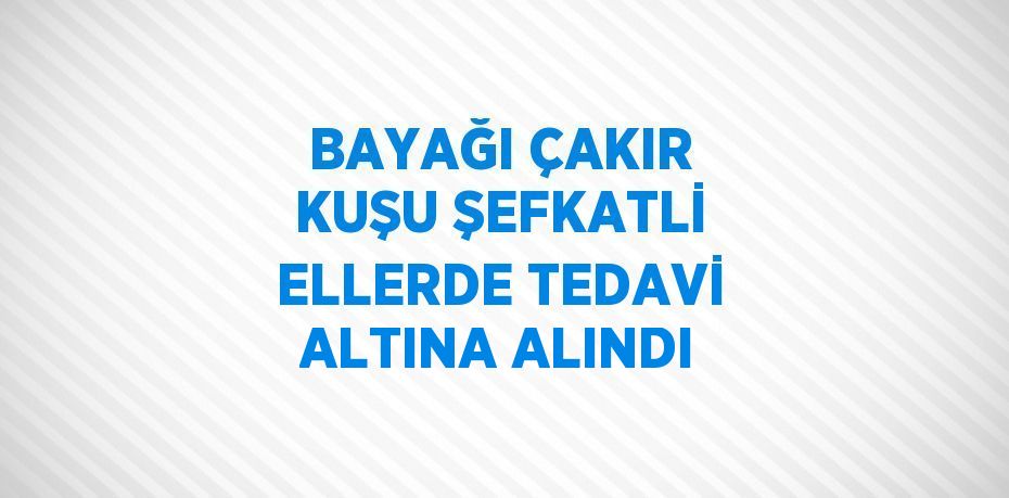 BAYAĞI ÇAKIR KUŞU ŞEFKATLİ ELLERDE TEDAVİ ALTINA ALINDI