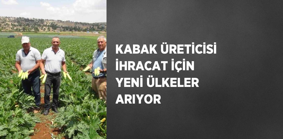 KABAK ÜRETİCİSİ İHRACAT İÇİN YENİ ÜLKELER ARIYOR