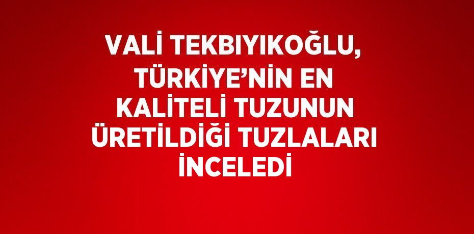 VALİ TEKBIYIKOĞLU, TÜRKİYE’NİN EN KALİTELİ TUZUNUN ÜRETİLDİĞİ TUZLALARI İNCELEDİ