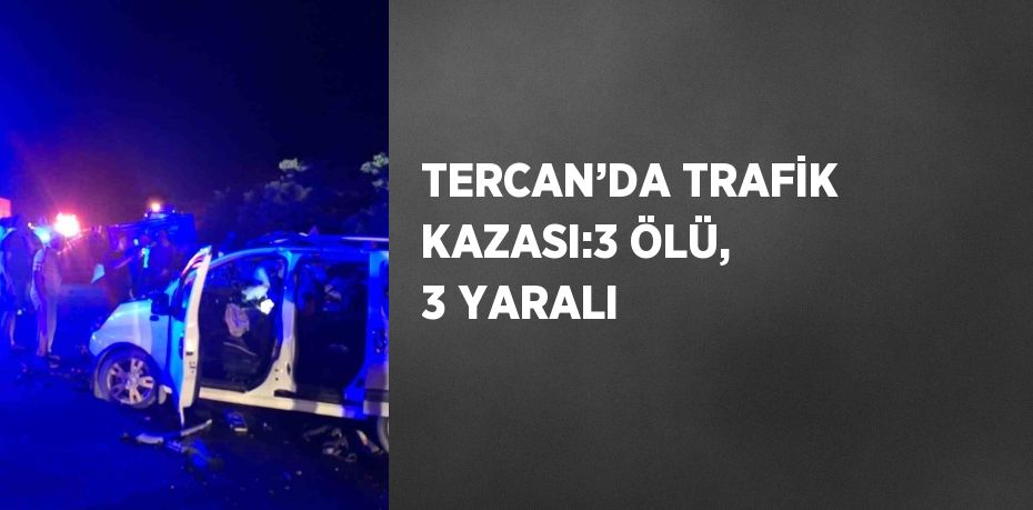 TERCAN’DA TRAFİK KAZASI:3 ÖLÜ, 3 YARALI