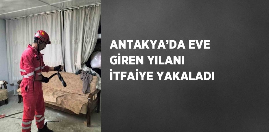 ANTAKYA’DA EVE GİREN YILANI İTFAİYE YAKALADI