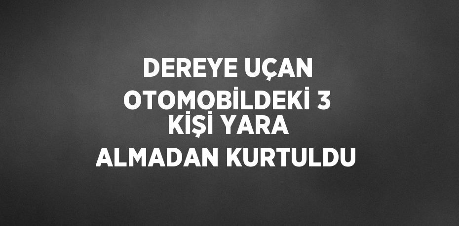 DEREYE UÇAN OTOMOBİLDEKİ 3 KİŞİ YARA ALMADAN KURTULDU