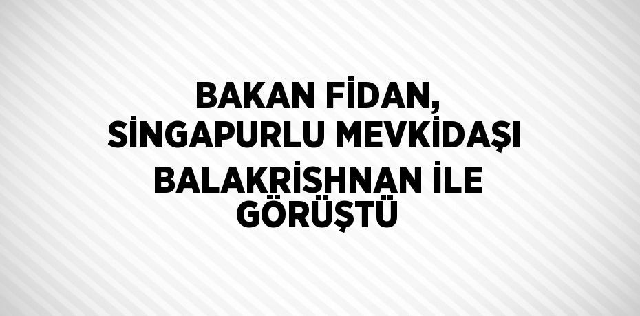 BAKAN FİDAN, SİNGAPURLU MEVKİDAŞI BALAKRİSHNAN İLE GÖRÜŞTÜ