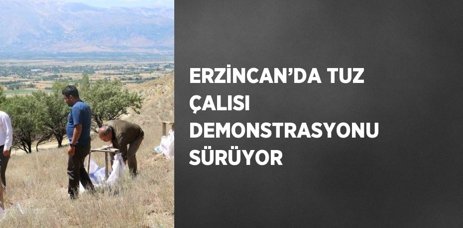 ERZİNCAN’DA TUZ ÇALISI DEMONSTRASYONU SÜRÜYOR