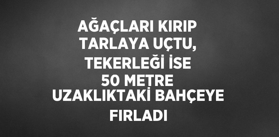 AĞAÇLARI KIRIP TARLAYA UÇTU, TEKERLEĞİ İSE 50 METRE UZAKLIKTAKİ BAHÇEYE FIRLADI