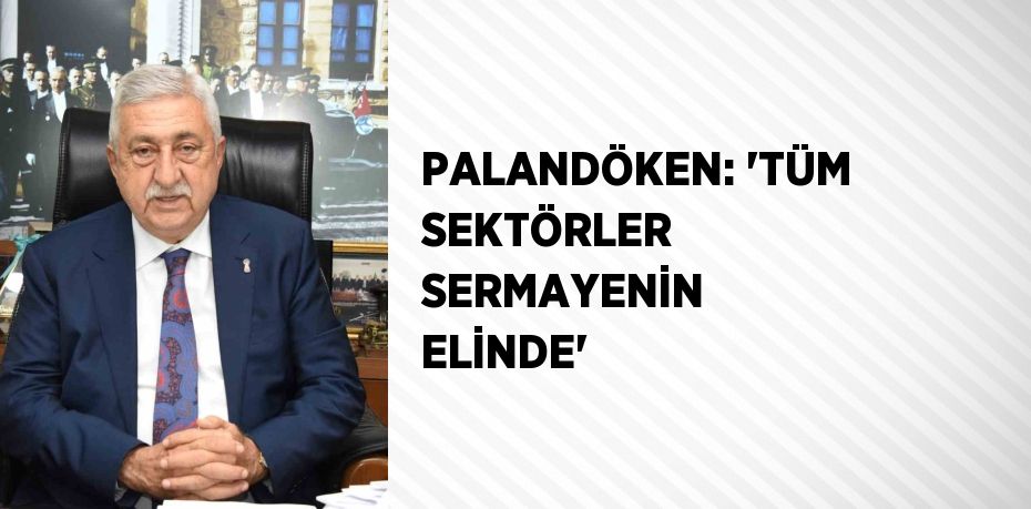 PALANDÖKEN: 'TÜM SEKTÖRLER SERMAYENİN ELİNDE'