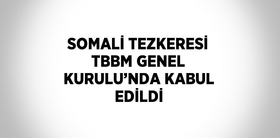 SOMALİ TEZKERESİ TBBM GENEL KURULU’NDA KABUL EDİLDİ