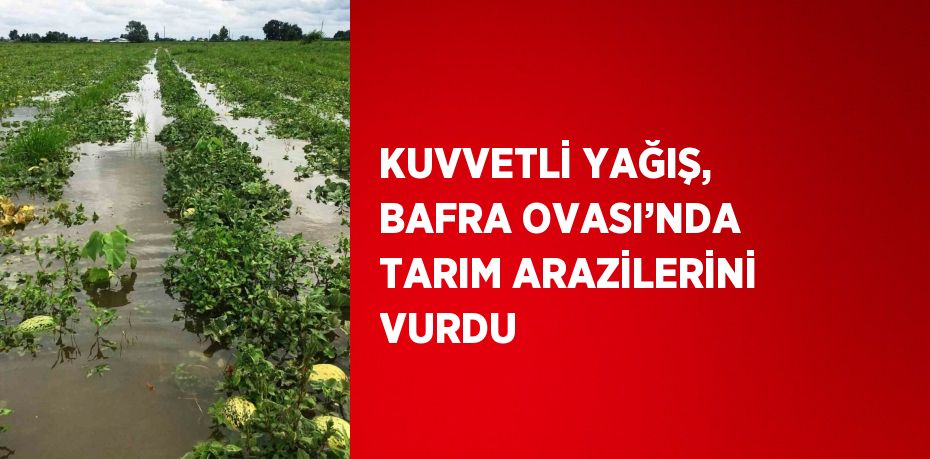 KUVVETLİ YAĞIŞ, BAFRA OVASI’NDA TARIM ARAZİLERİNİ VURDU