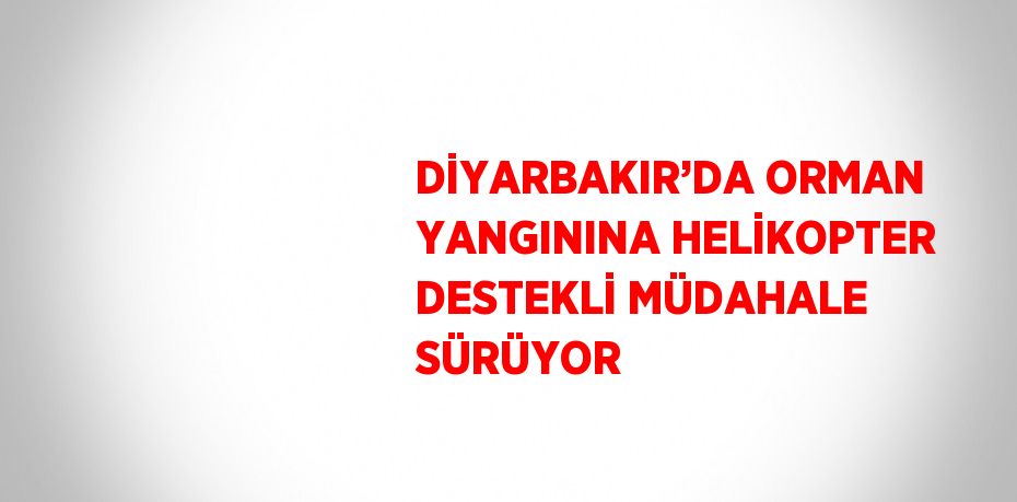 DİYARBAKIR’DA ORMAN YANGININA HELİKOPTER DESTEKLİ MÜDAHALE SÜRÜYOR