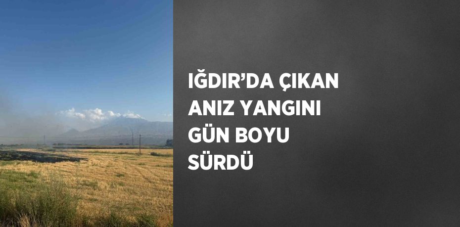 IĞDIR’DA ÇIKAN ANIZ YANGINI GÜN BOYU SÜRDÜ