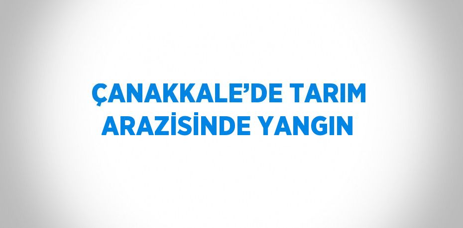 ÇANAKKALE’DE TARIM ARAZİSİNDE YANGIN