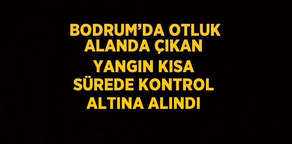 BODRUM’DA OTLUK ALANDA ÇIKAN YANGIN KISA SÜREDE KONTROL ALTINA ALINDI